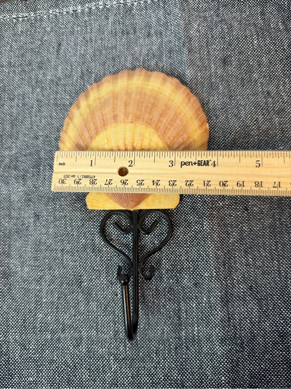 Coastal Scallop Shell Wall Hook Nautical Beach Cottage Decor